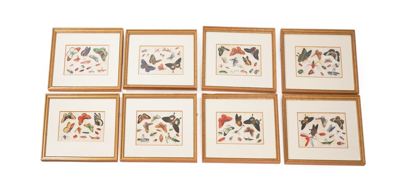 Chinese School , (mid 19th century), Butterfly and insect studies, A set of eight watercolours on pith paper, each image 16 x 26cm, staining